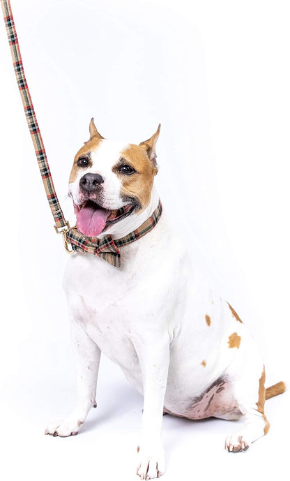 Scottish Tartan Bowtie Dog Collar & Leash Set with Detachable Bow Tie for Girl or Boy Dogs Comfortable Plaid Pattern, Fully Adjustable, Great Pet Gift (XS, Beige)